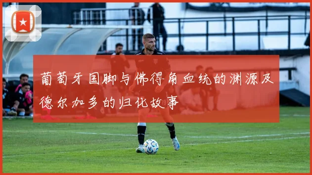 葡萄牙国脚与佛得角血统的渊源及德尔加多的归化故事