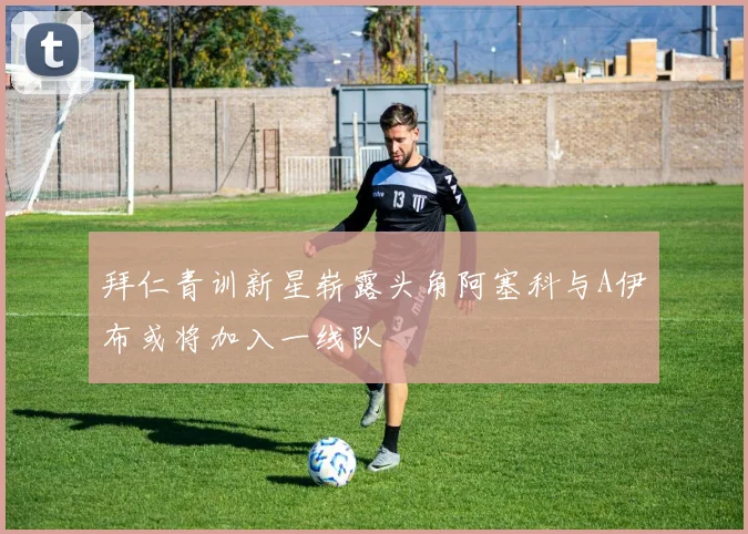 拜仁青训新星崭露头角阿塞科与A伊布或将加入一线队
