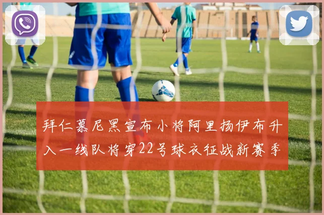 拜仁慕尼黑宣布小将阿里扬伊布升入一线队将穿22号球衣征战新赛季